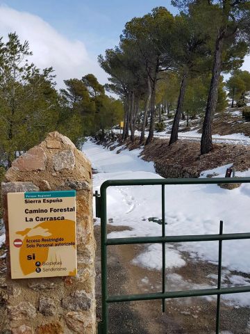 Nevada en Totana - 18 de enero de 2017 - 458